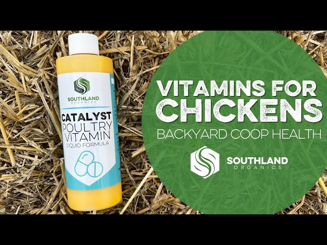 NEW Liquid Chicken Vitamins - Catalyst