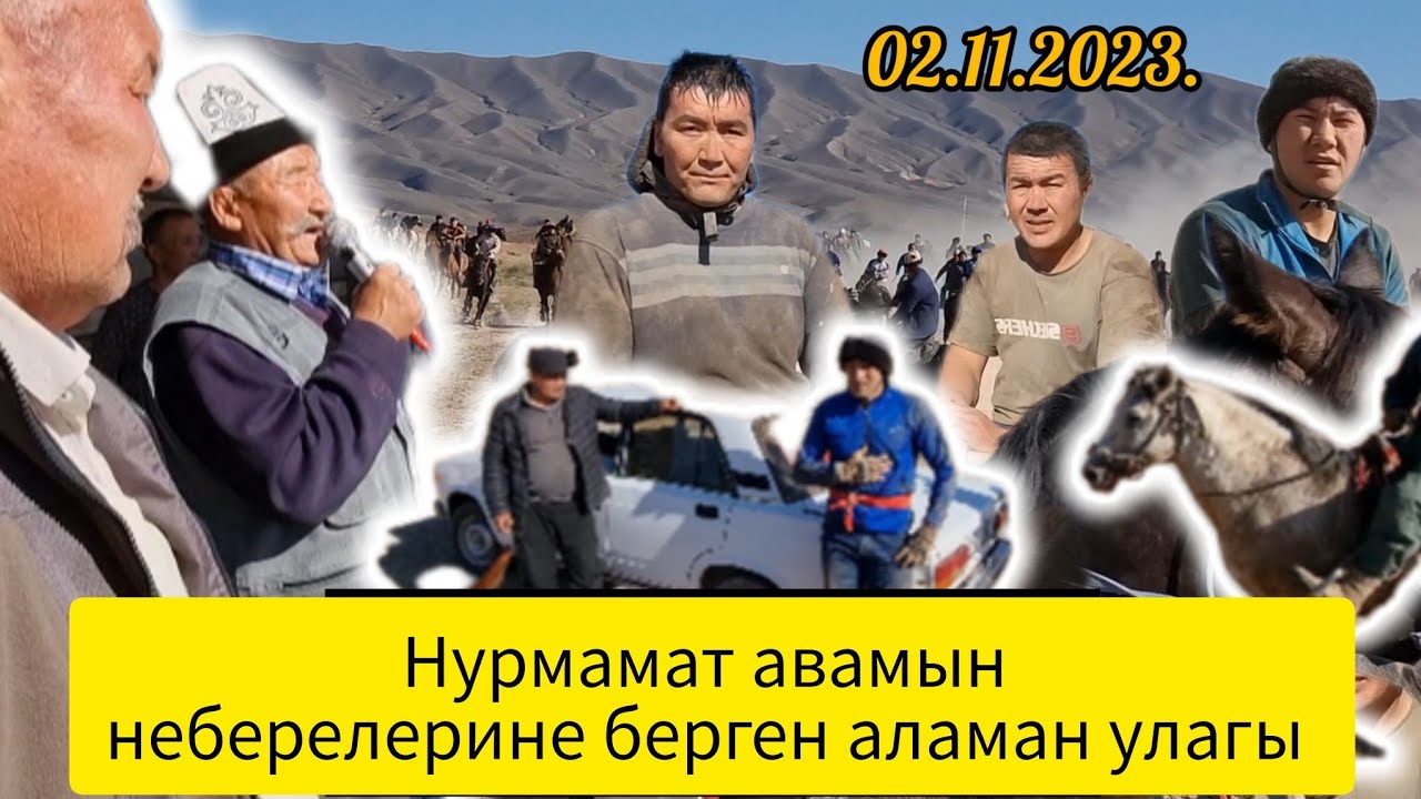 Нурмамат авамын неберелерине берген аламан улагы 02.11.2023. Көк-Серек айылы !!