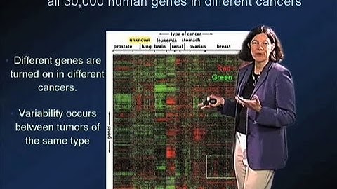 Cancer Genetic Variability - Mary Beckerle (Utah)