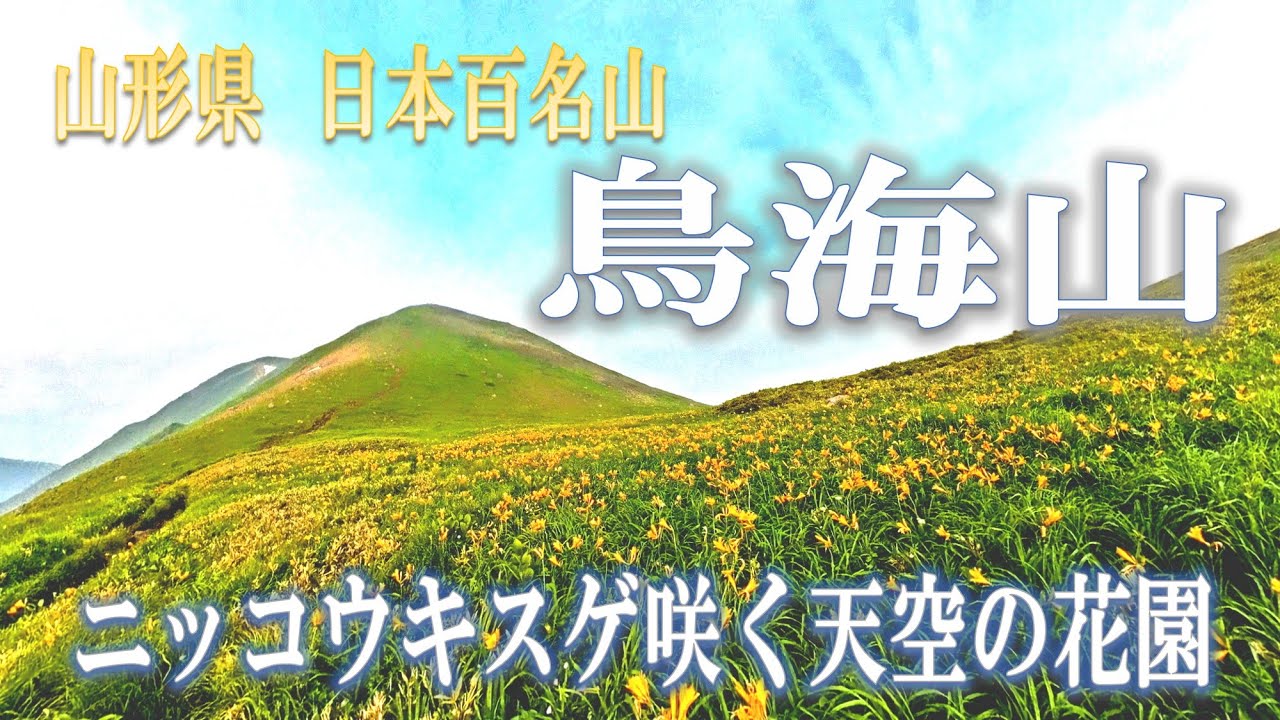 鳥海山 初夏 ニッコウキスゲ咲く天空の花園(2024. 7. 14) - YouTube