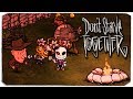 ПОЧЕМУ ОБИДЕЛСЯ ОЛЕГ БРЕЙН? - DON'T STARVE TOGETHER