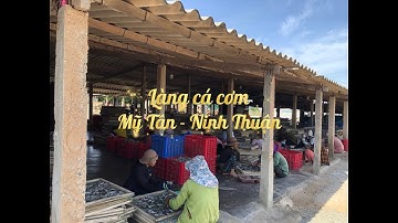 Làng nghề cá cơm - Mỹ Tân - Ninh Thuận