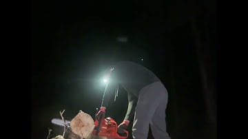 Echo cs310 muffler mod and tune