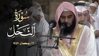 سورة النحل تلاوة بأداء شجي للشيخ أنس العمادي صلاة التراويح الليلة | 16 رمضان 1445 هـ