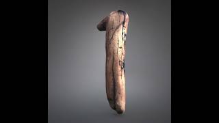 Driftwood debris 3d model