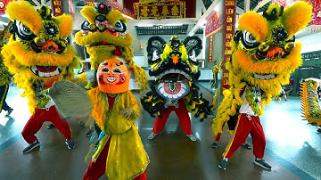 Múa Lân Cực Ngầu 2023 gần 70 đoàn Lân Sư Rồng tại lễ hội Chùa Bà Châu Đốc An Giang P2