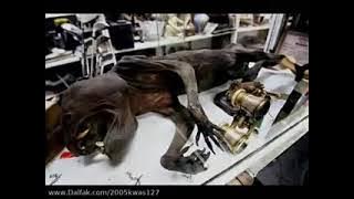 EPORNER COM   kXoMsgVw3Tm Paranormal creatures by Muktar 240