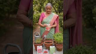 Ghar Ki Chhat Par Sabji Kaise Ugaye 🌱 | Rooftop Gardening Tips #shorts #shortsviral #shortvideo