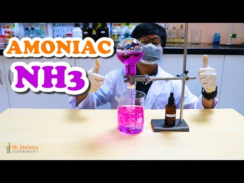 Video Thí nghiệm đài phun nước Amoniac NH3 quá đẹp nhưng mùi... - youtube