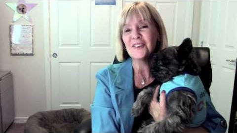 Help! This Clutter Is Making Me Crazy!