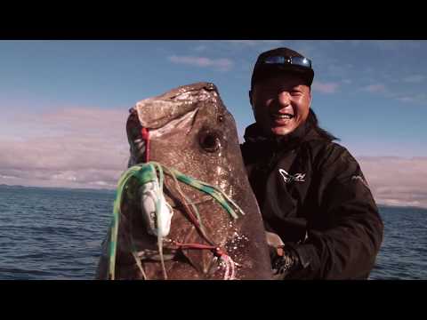 How to target hapuka, bass and bluenose with Catch Giant Squidwings