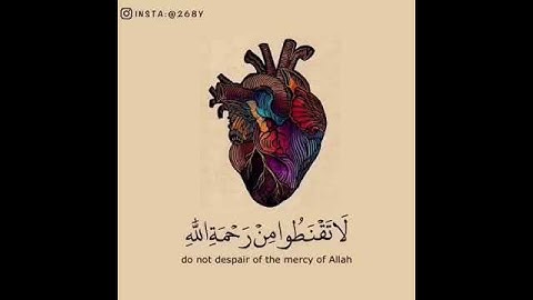 تلاوة تشرح الصدر ❤️ آيات قرآنيه