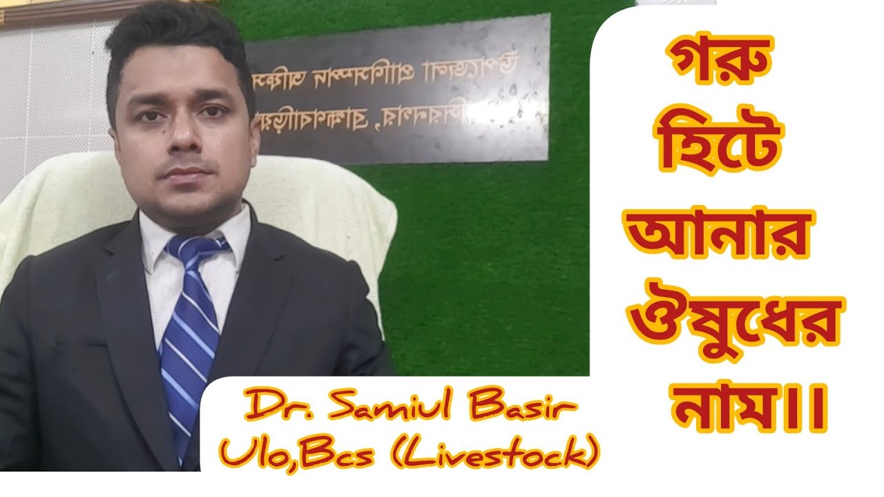গরু হিটে আনার ঔষধ। গাভী হিটে আনার ঔষধ।  গাভীকে হিটে আনার ঔষধ। গরুকে হিটে আনার ঔষধ।