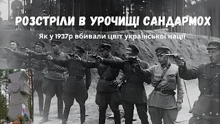 Розстріли в урочищі Сандармох: як у 1937 році вбивали цвіт української нації.  Sandarmoh ...