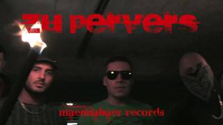 speZial feat. Small T - Zu pervers (Streetvid 2010)