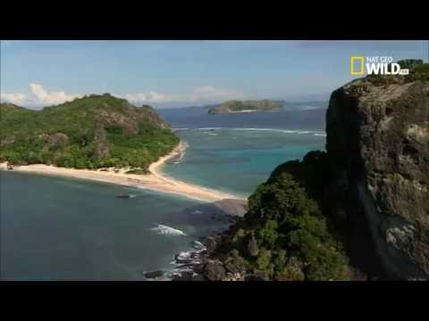 Video: Cosa acquistare a Fiji