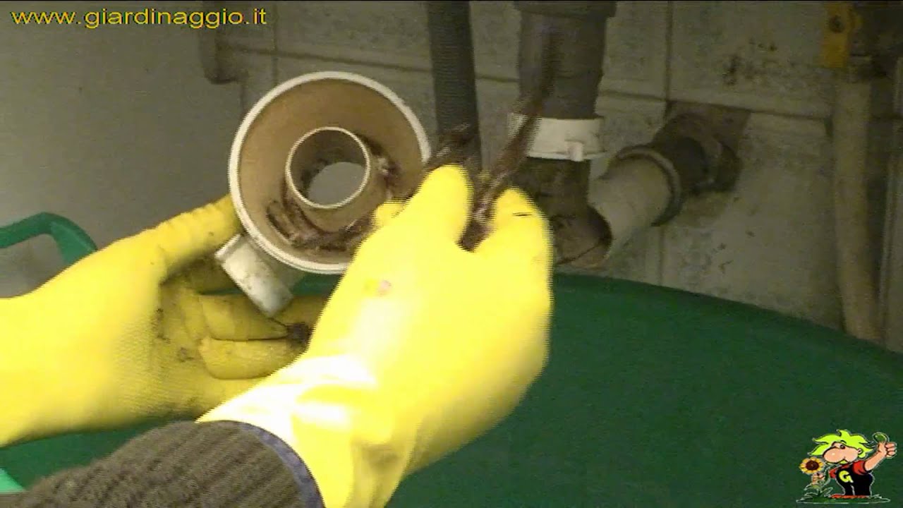 Pulizia del sifone youtube