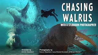 Chasing Walrus With A Stubborn Photographer Trailer Available Now