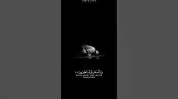 كانوا قليلاً من الليل ما يهجعون | سورة الصافات | سالم البوسعيدي