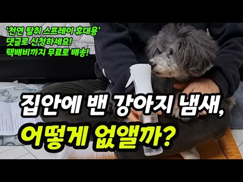 집안에 밴 강아지 냄새, 어떻게 없앨까?【feat. 강아지냄새제거/강아지냄새없애는법/강아지용품 무료샘플】