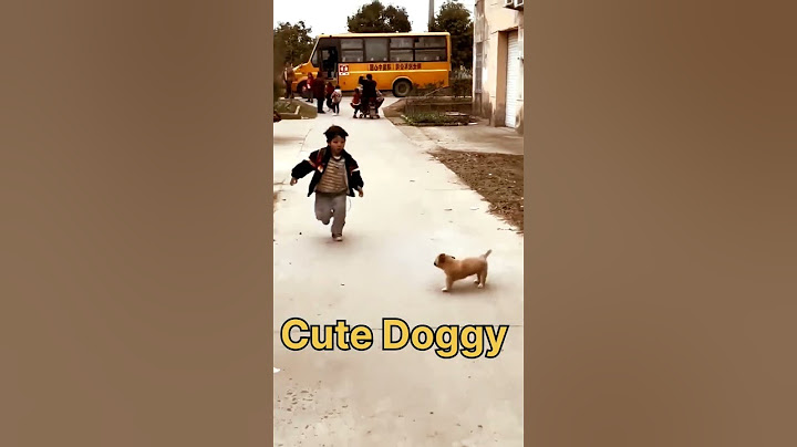 Kitne acche dog hai 🐕 wait for twist 😅 #short #dog #shortfeed ￼ #music #milliondollarbaby #hiphop
