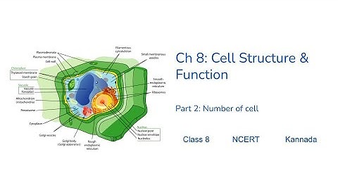 Class8- Science - Chapter8– Cell Structure and Functions - Part02 - Number of Cell#NCERT #Kannada