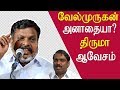 Tamil news velmurugan arrest thiruma warns the government tamil news live tamil live news redpix