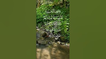 آية رائعة/ سورة الأنعام بصوت ماهر المعيقلي