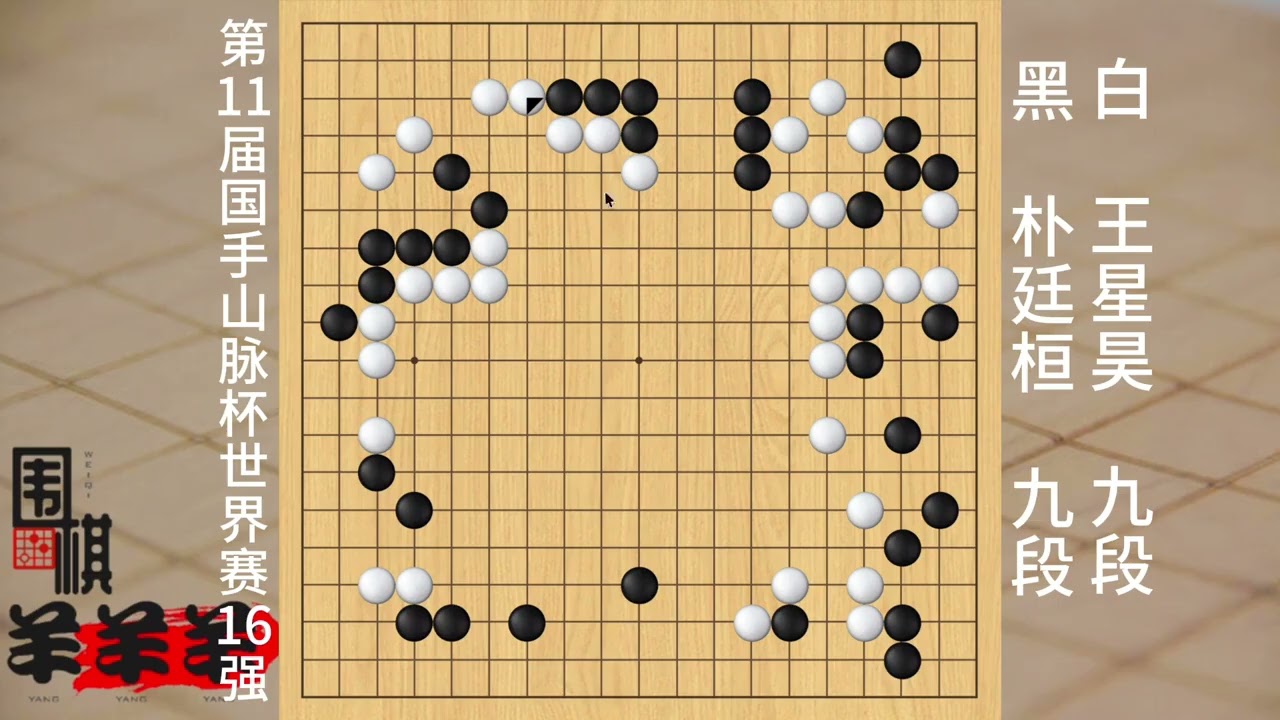 國手山脈杯世界賽16強，樸廷桓太保守，王星昊只攻不守輕松KO #圍棋入門 #益智游戲 #提升專注力 #永子圍棋 #休閑娛樂