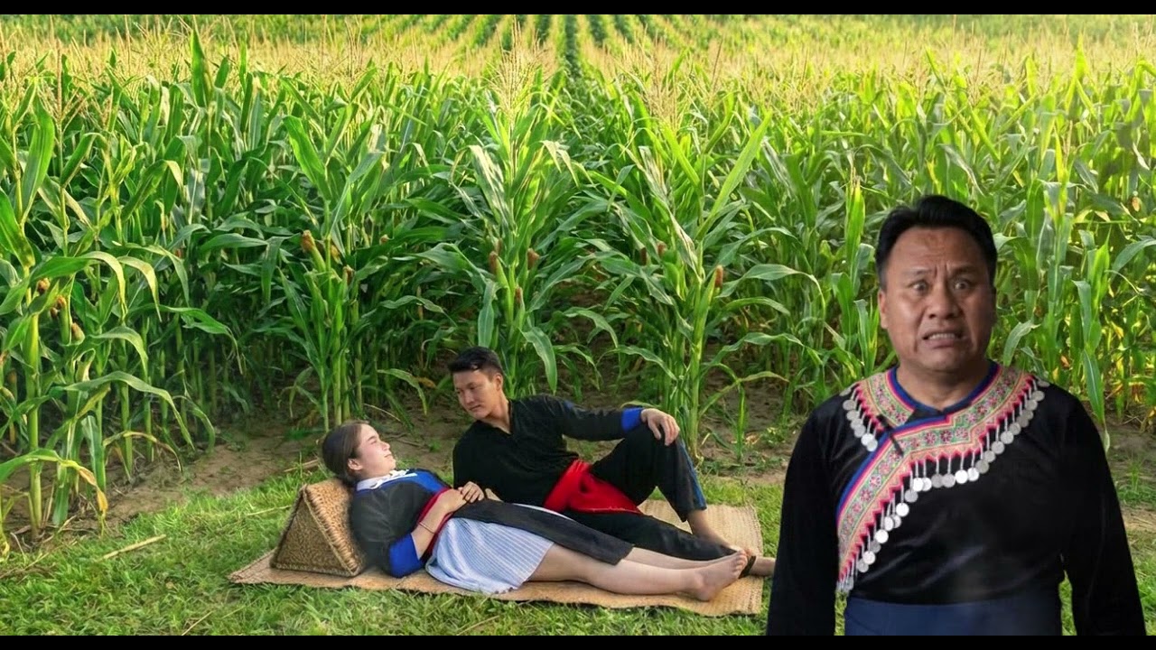 Ib Hnub Xav Deev Koj Ob Peb Teg Xwb   Koos Loos 25/2/2026