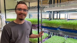 Indoor LED Microgreens Farm: Vista Microgreens - Active Grow LED Grow Lights for Plant Production