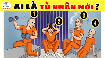 🧠 Thử Thách Trí Tuệ: Hành Trình Đưa IQ Lên Một Tầm Cao Mới