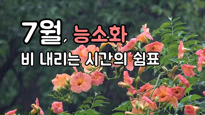 [July Cool Video] A comma in the rainy time, rain falling on a hot and tired heart, like a hydran...