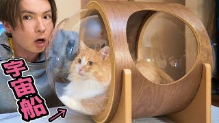 猫の宇宙船ハウス買ったホイ!! 【可愛すぎ】　PDS