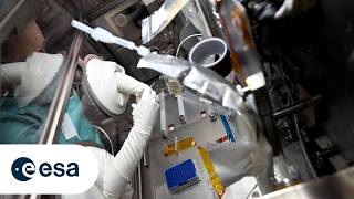 GEARS, monitoring antibiotic resistance in space