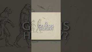 Did Adam And Eve Evolve From Apes?