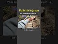 ☝️Learn REAL Japanese While Traveling Around Japan👆