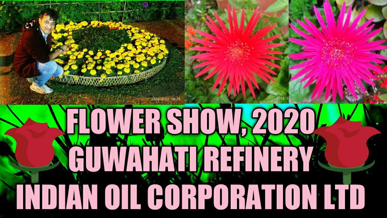 Flower Show, 2020, Guwahati Refinery YouTube
