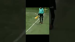 Referees Skills