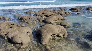 Bathtub Beach, Stuart Florida - Waves, Sun, Coral