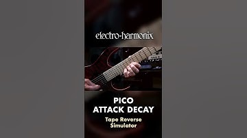 EHX Pico Attack Decay - Singing Swells