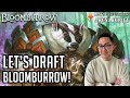 Let's Draft Bloomburrow! | Bloomburrow Draft | MTG Arena