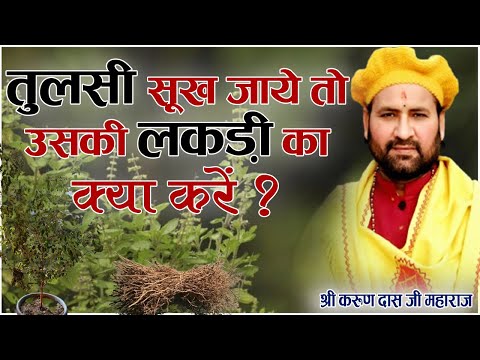 वीडियो: लकड़ी की पोटली। उसकी आवश्यकता क्यों है?