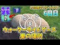 【フォートナイト】ウォーターサイドグースの巣を探す 場所一覧 6日目の報酬 14日間のフォートナイト