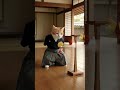 Kung Fu Kitties: The ULTIMATE Feline Fighters! 🥋😼