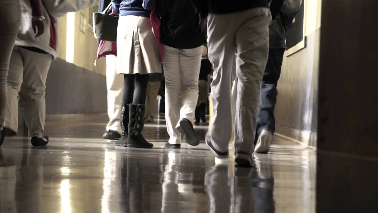 What is a Georgia Public Charter School?