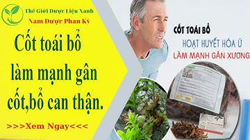 Cốt toái bổ – vị thuốc quý được “săn lùng” vì công dụng tuyệt vời,mạnh gân cốt, bổ can thận.