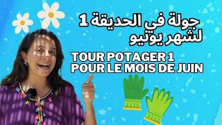 Tour potager 1 mois de juin / زيارة الحديقة 1 لشهر يونيو