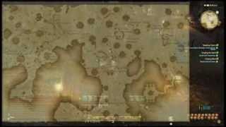 FFXIV Map Bug