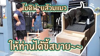 Cats ณ JAB : โมดิฟายส้วมแมวยังไงให้แมวสบายที่สุด!!